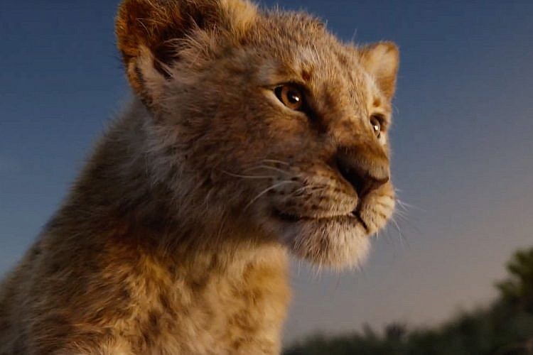 "מלך האריות" 2019