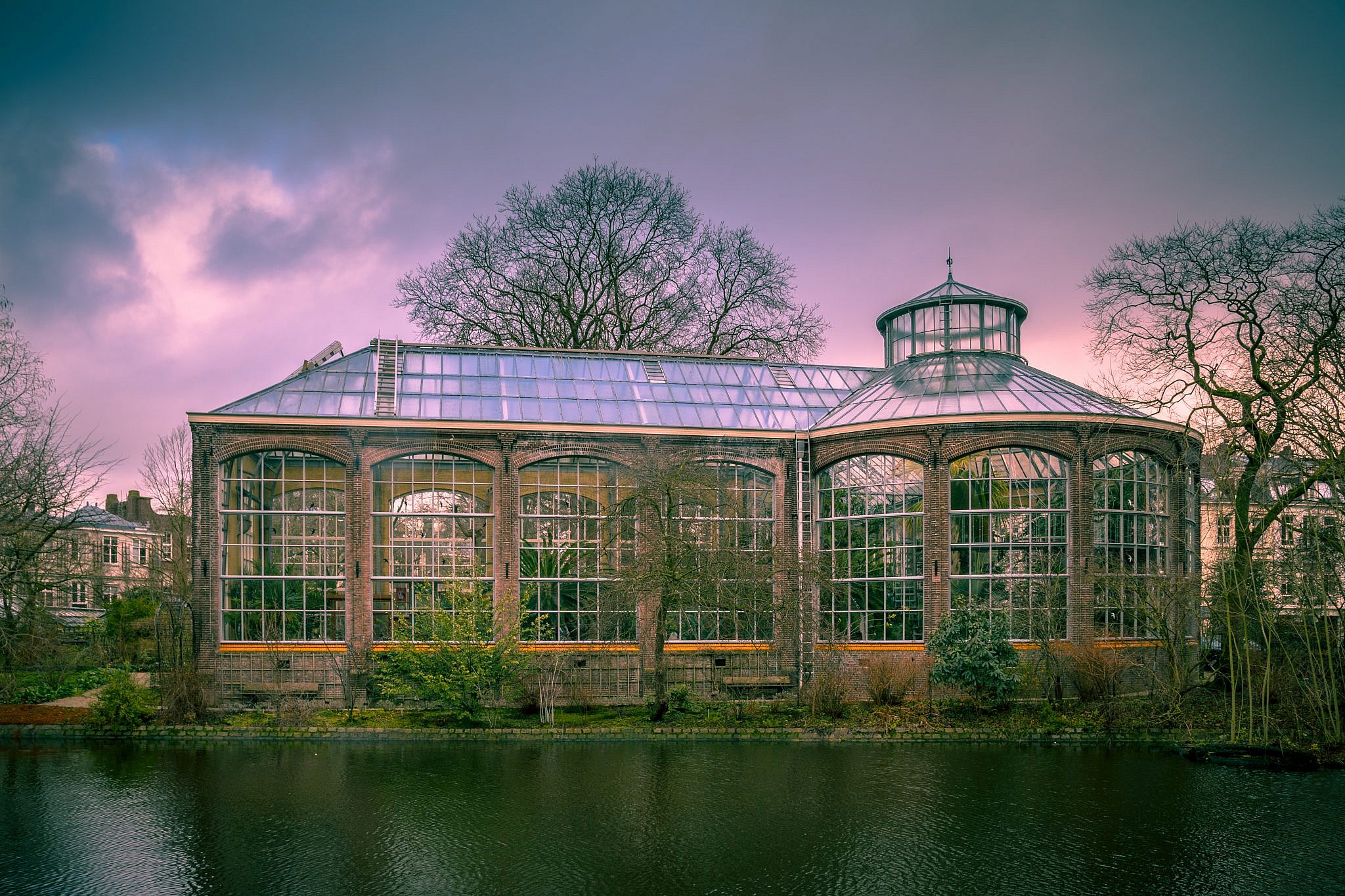 Hortus Botanicus באמסטרדם (צילום: Shutterstock)