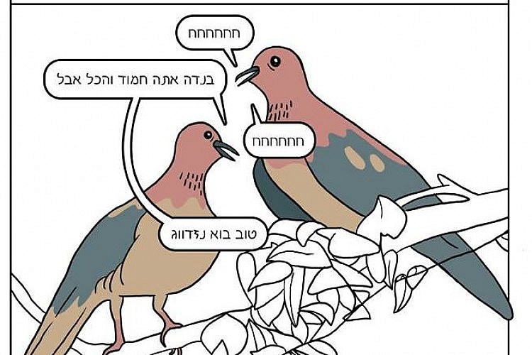 מתוך עמוד הפייסבוק של נעה כ"ץ