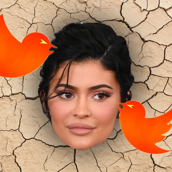 מה יהיה, קיילי? איור: מיכל רוט