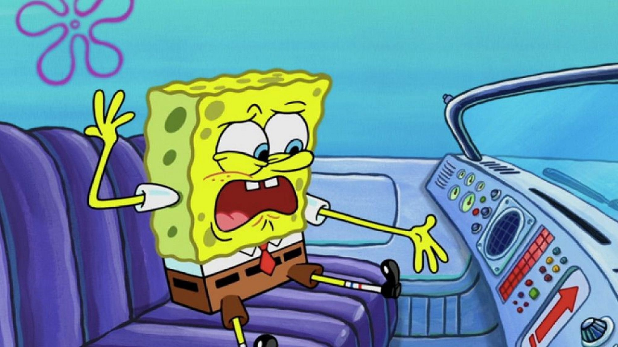 כוכב גדול של מדיה אבודה. בובספוג (מתוך "בובספוג")