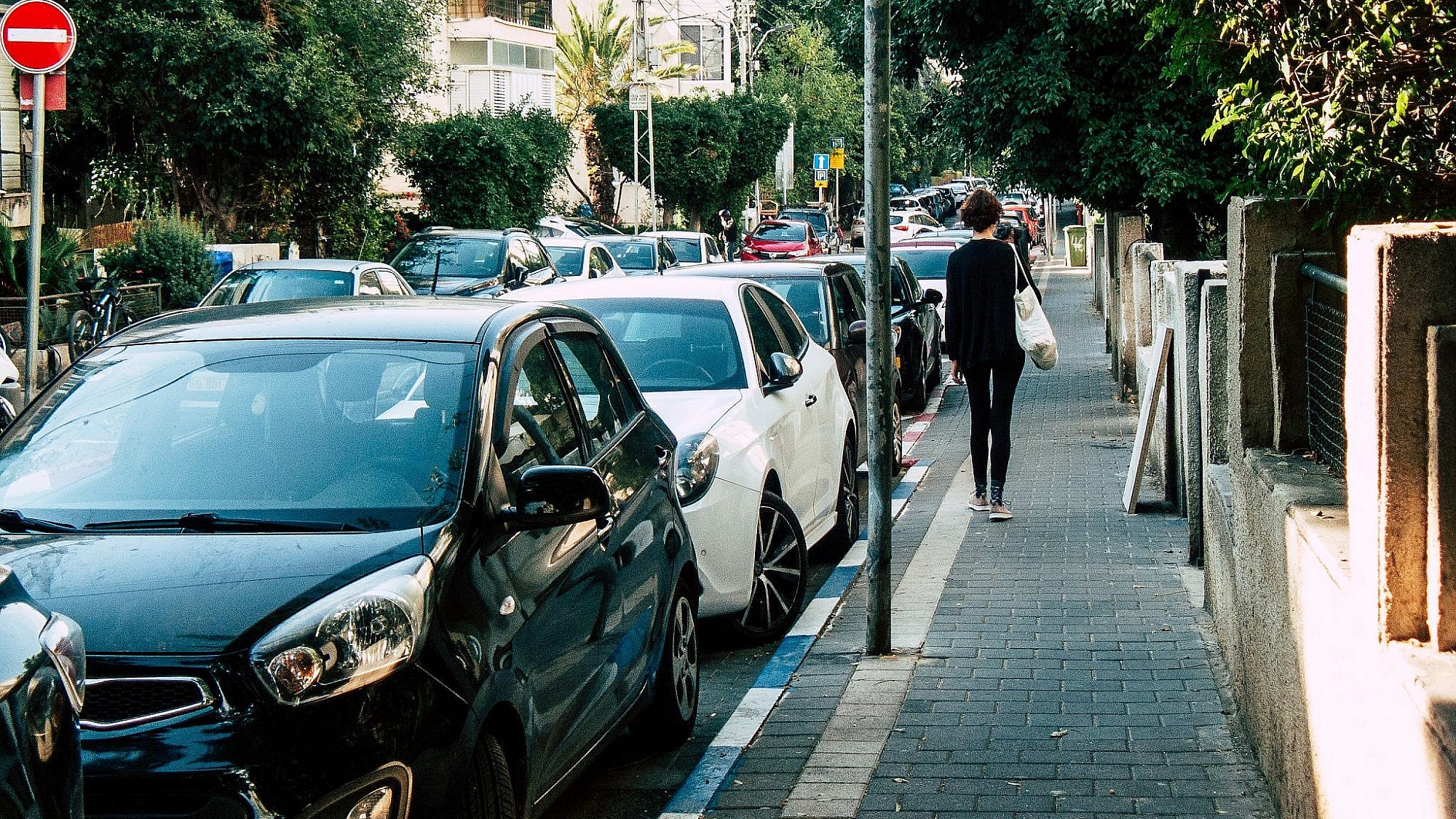 בתמונה: שטח ציבורי חינם לשימוש פרטי. מכוניות חונות בכחול לבן בתל אביב (צילום: Shutterstock)
