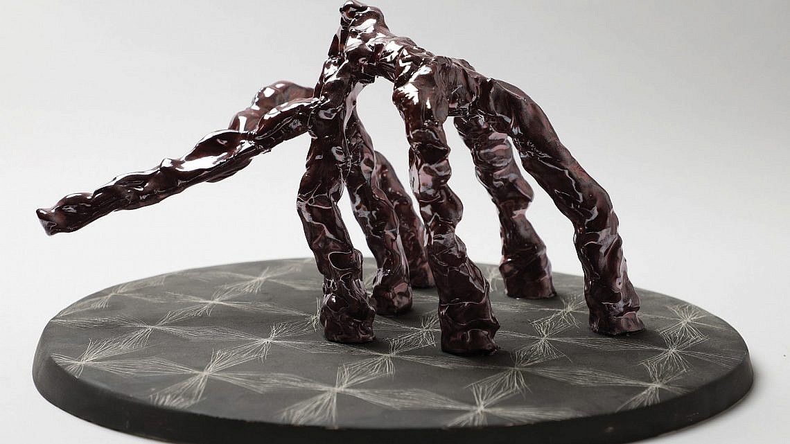 עבודה של הדס רוזנברג ניר (צילום: רם ברכה)