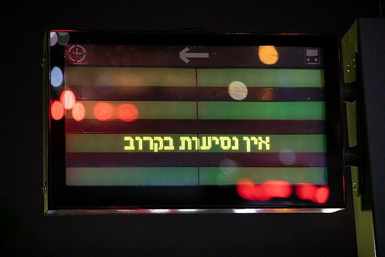 עוד קורבן של הקורונה. נעים בסופ"ש (צילום: דין אהרוני רולנד)
