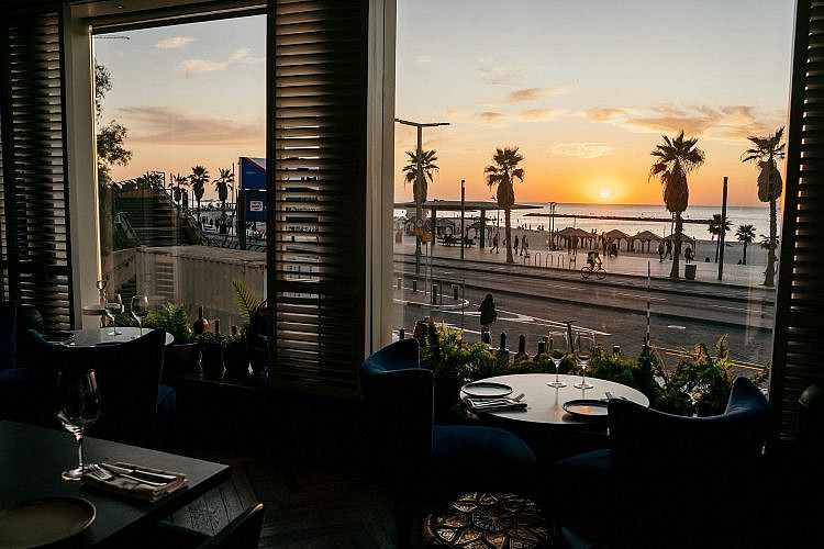 אנימאר: נגיף עם טעם משובח (צילום: ספיר קוסא)