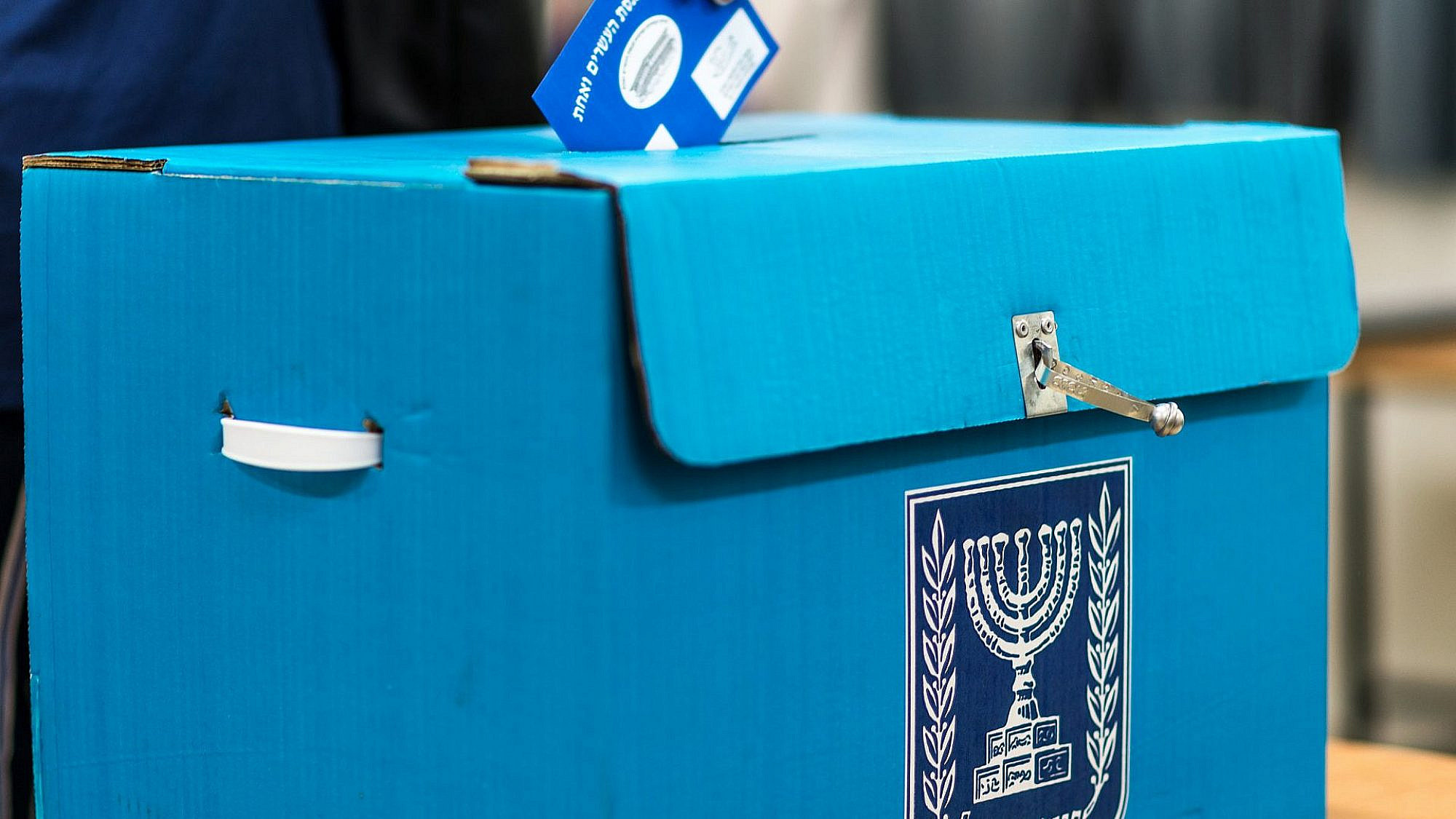 תתרגלו לראות את החבוב הזה. קלפי (צילום: שאטרסטוק)