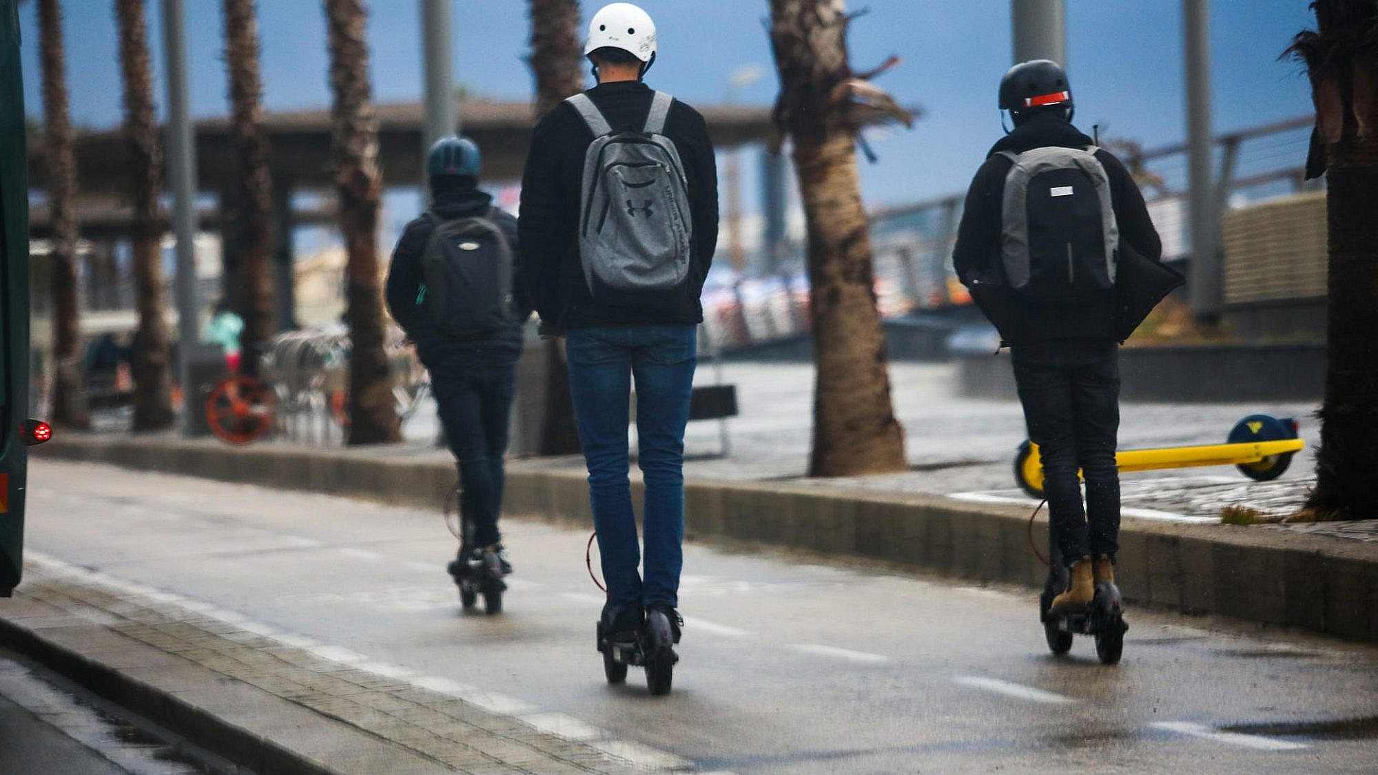 טיילת תל אביב בחורף (צילום: שלומי יוסף)