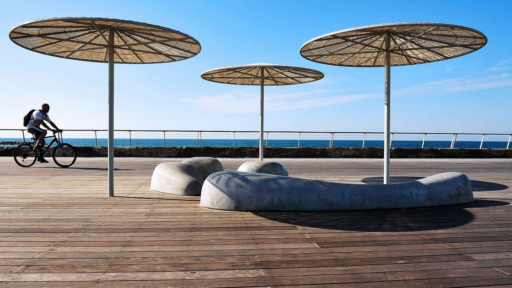 כמו כלבי ים משתזפים בשמש. מושבי הבטון בנמל תל אביב (צילום: Shutterstock)