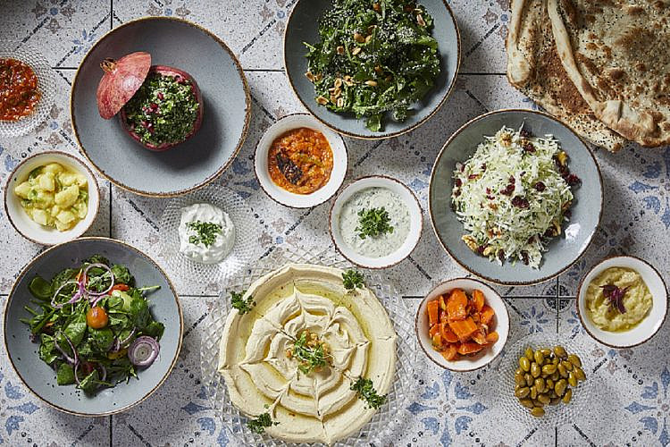 אלבאבור (צילום: אפיק גבאי)