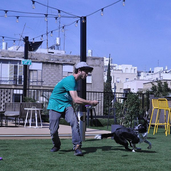 אימון ספורט כלבני (צילום: דנה מידן)