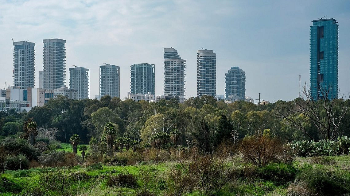 הנדל"ן תמיד מנצח את העצים. פארק הירקון (צילום: שאטרסטוק) הנדל"ן תמיד מנצח את העצים. פארק הירקון (צילום: שאטרסטוק)
