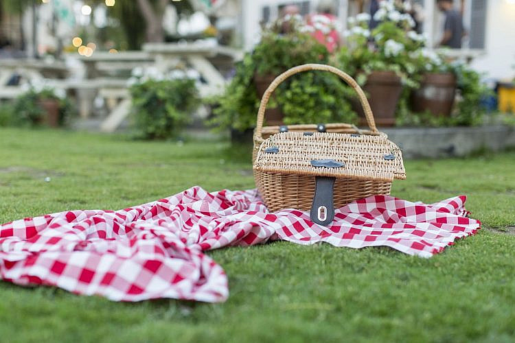 פיקניק בפארק שרונה (צילום: שאטרסטוק)