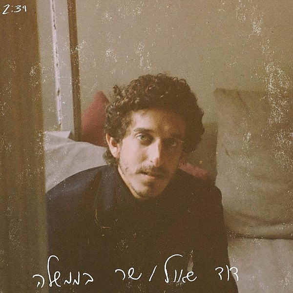 דוד שאול (צילום: יחסי ציבור)