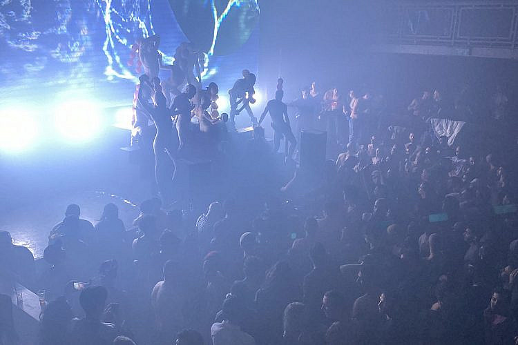 הפאג! חוזר! באומן! צילום: ליאל בומברג