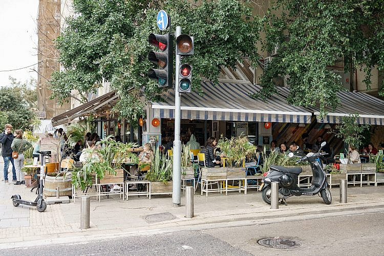 ג'אבה. צילום: אנטולי מיכאלו