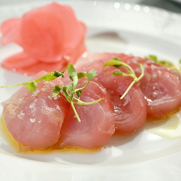 הדבר הראשון שקופץ לעין הוא שאין שום דבר פראי ב