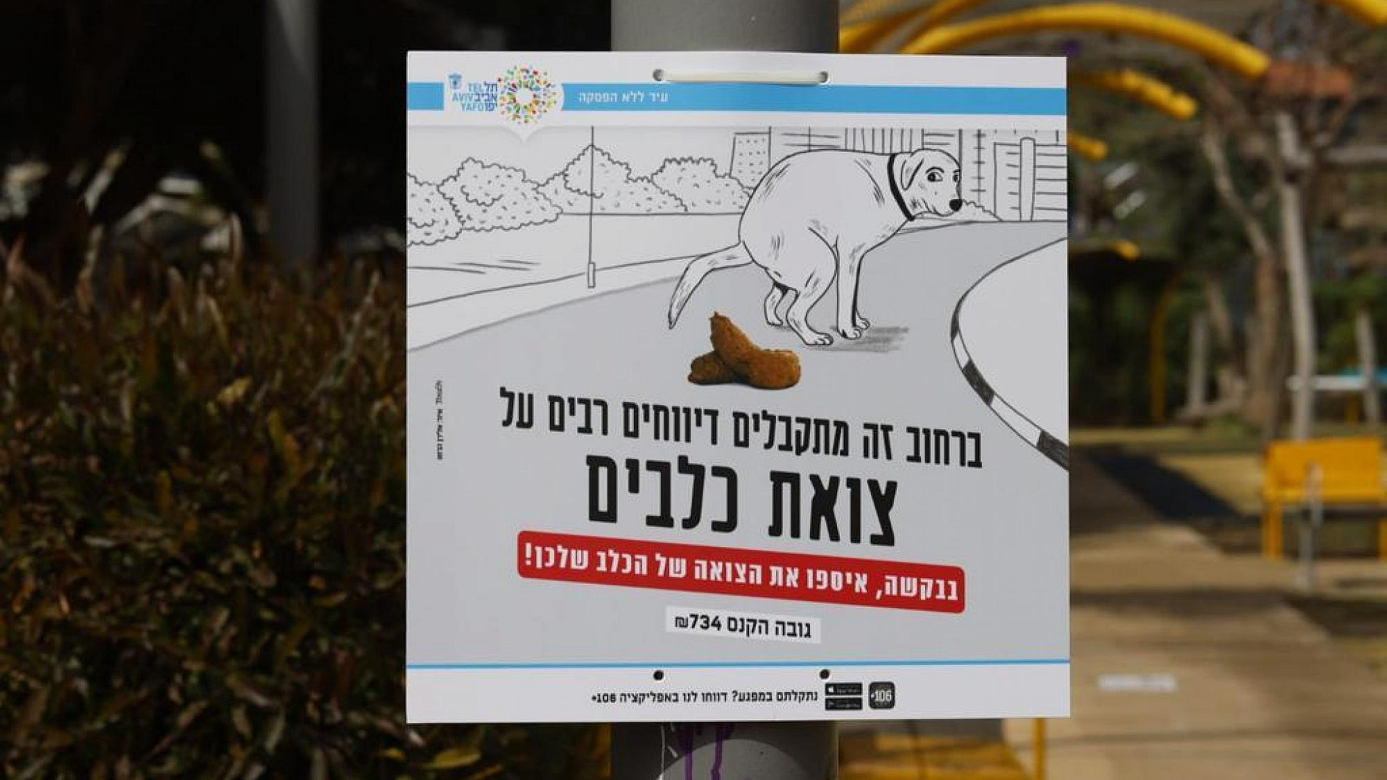 קצת שיימינג לא יזיק לכם. קמפיין עיריית תל אביב-יפו (צילום: גיא יחיאלי)