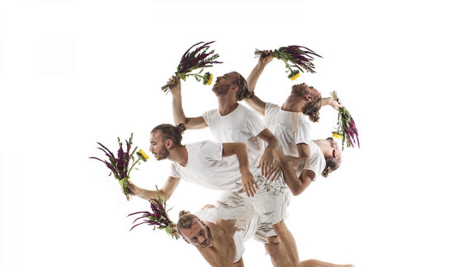 רקדני בת שבע ב-Hibrydancers. מתוך עבודתו של אסקף