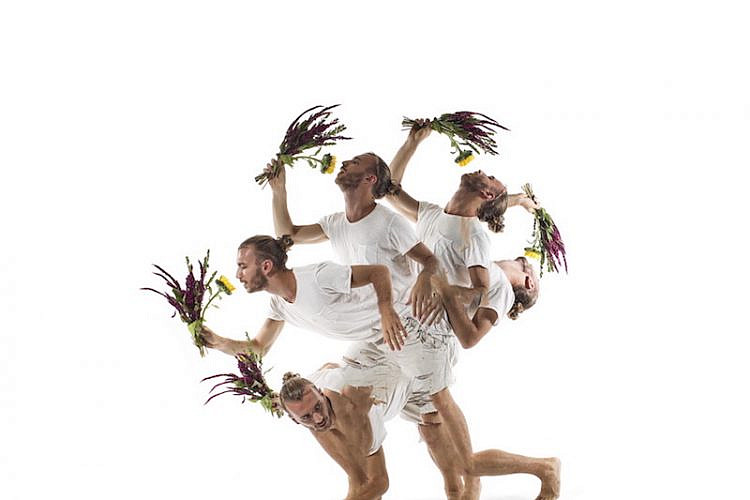 רקדני בת שבע ב-Hibrydancers. מתוך עבודתו של אסקף