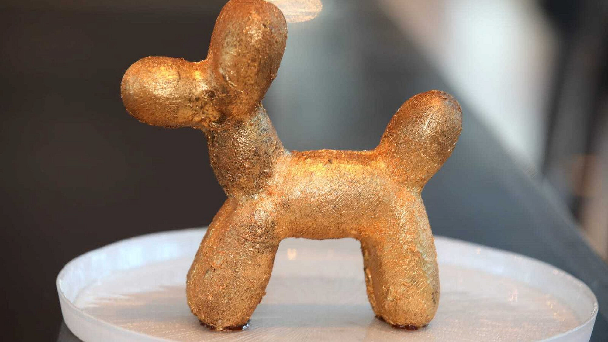 כלב השוקולד של קונס, לכאורה. צילום: איציק בירן