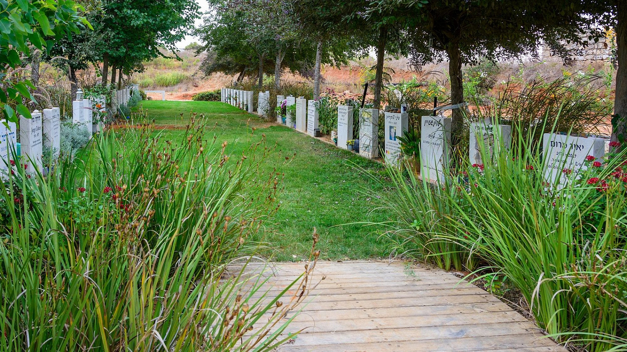 מה, גם לחילונים יש זכויות? בית קברות אזרחי בישראל (צילום: שאטרסטוק)
