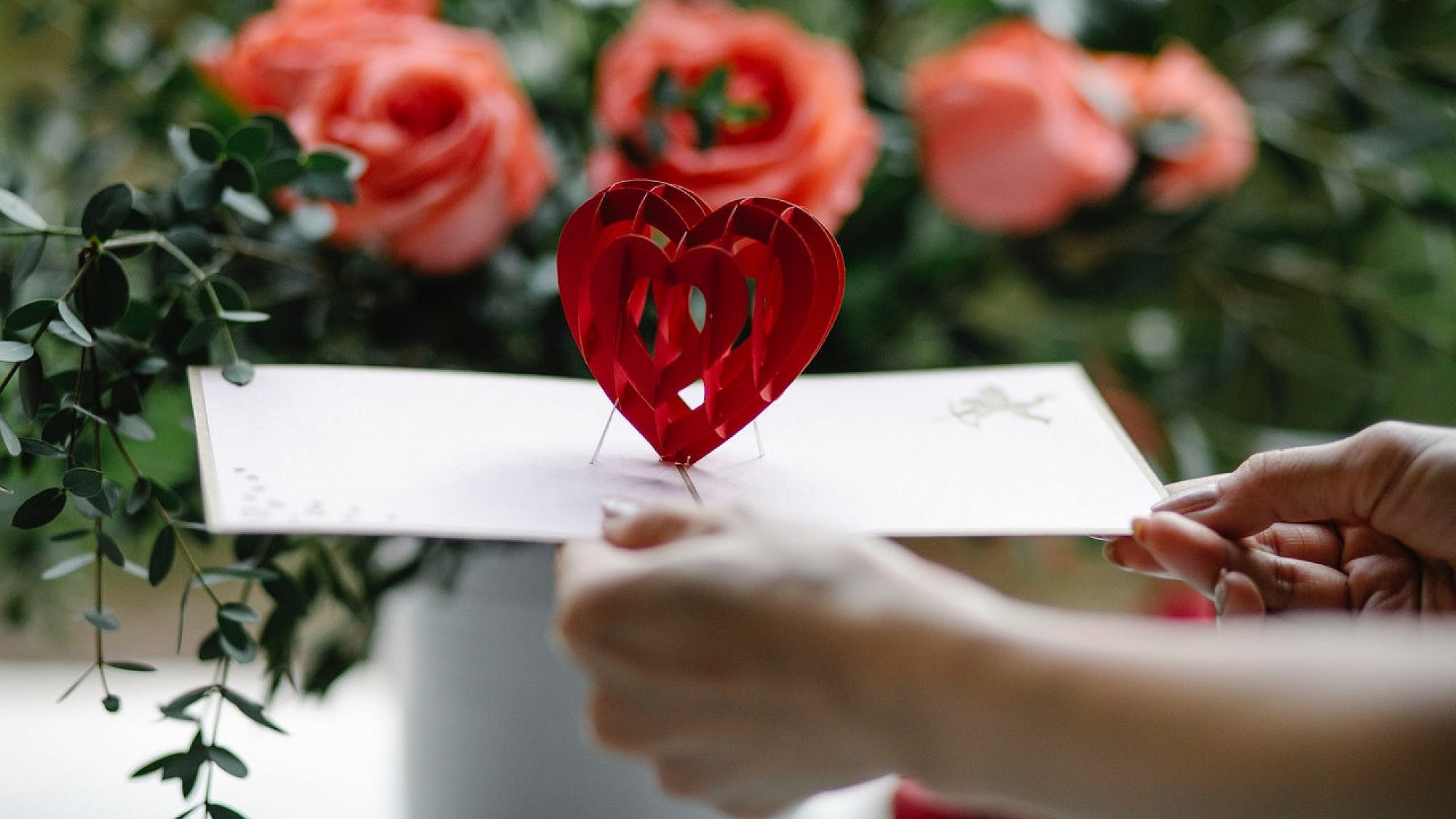 צילום: pexels צילום: pexels