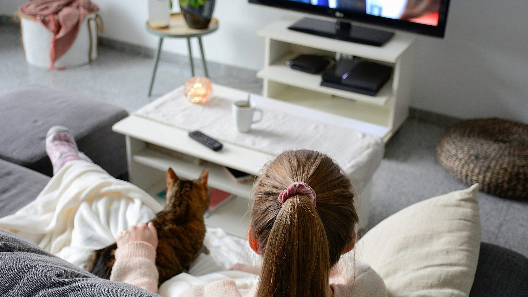 חתול. טלוויזיה. ספל. האם צריך יותר מזה? לא. סתם, גם אוכל זורם. צילום: shutterstock