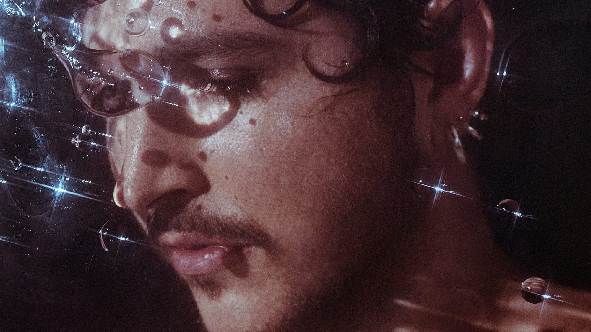 אוסקר אנד דה וולף (צילום: יחסי ציבור)