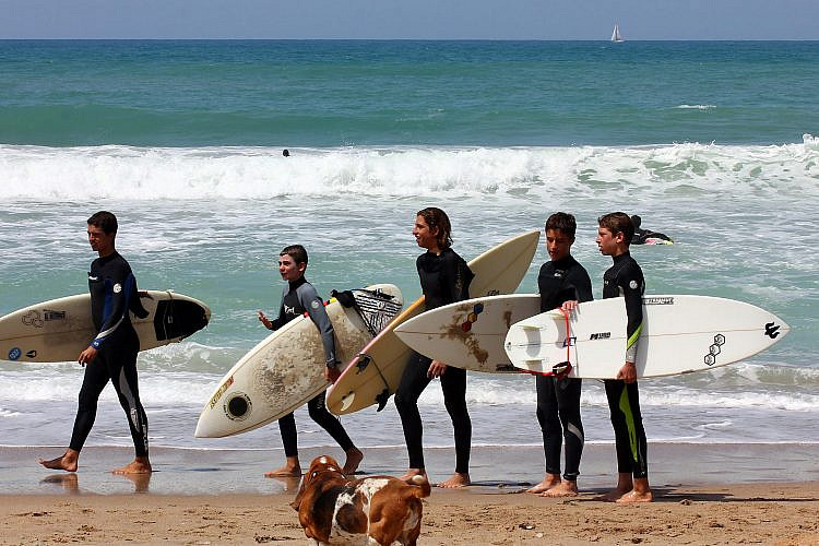 אולי אתם יודעים איפה פה הספוט של עידן אלתרמן? גולשים וכלב בחוף תל ברוך (צילום: Shutterstock)