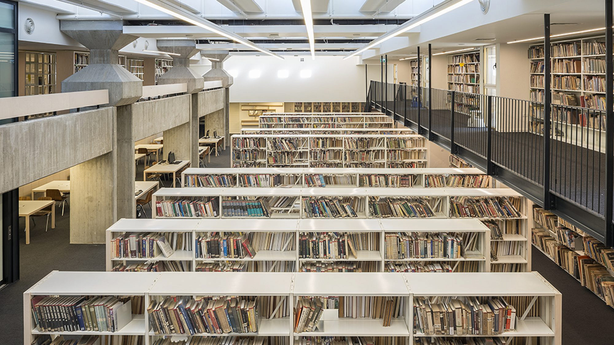 ספריית בית אריאלה (צילום: מאיר שפירא)