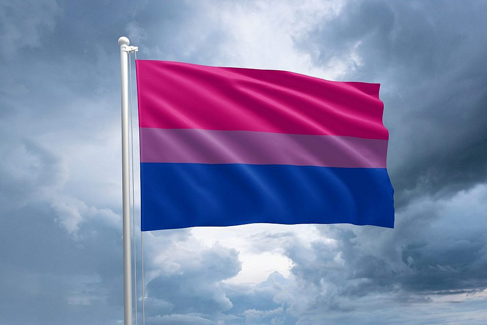 יותר מתאבדים מכולם. דגל הגאווה הביסקסואלית (צילום: שאטרסטוק)