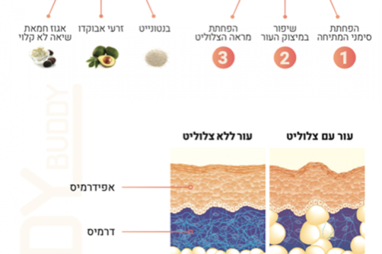 3 מרכיבים – פתרון 1! | עיבוד תמונה: 361 מעלות 3 מרכיבים – פתרון 1! | עיבוד תמונה: 361 מעלות