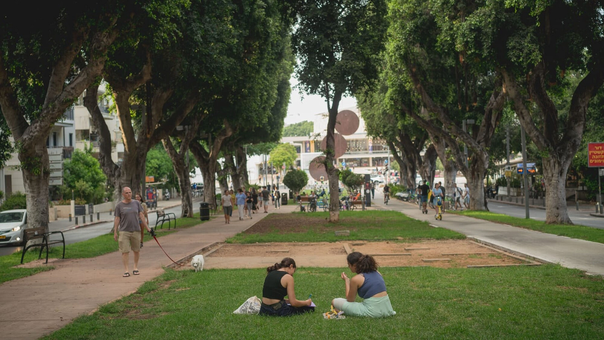 הכי שקט בעין הסערה. שדרות רוטשילד (צילום: אילן ספירא)