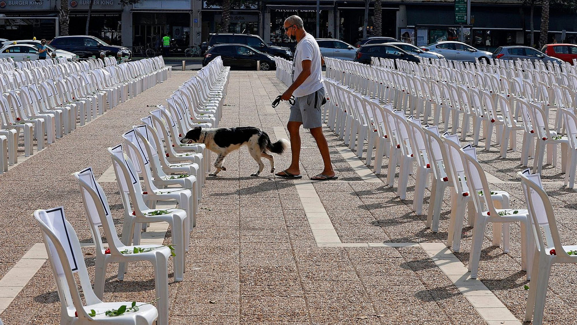 בדרך לעיריה עוצרים לרחרח משהו. כלב בכיכר רבין (צילום: GettyImages)