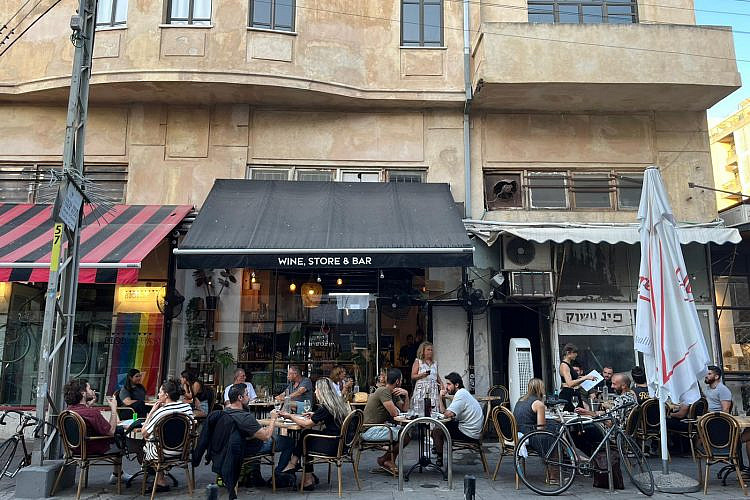 יין בכרם (צילום: נועם רון)