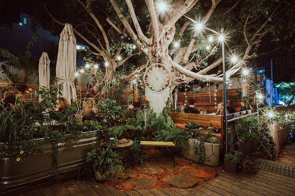 קפה ציונה | צילום: גיא חמוי