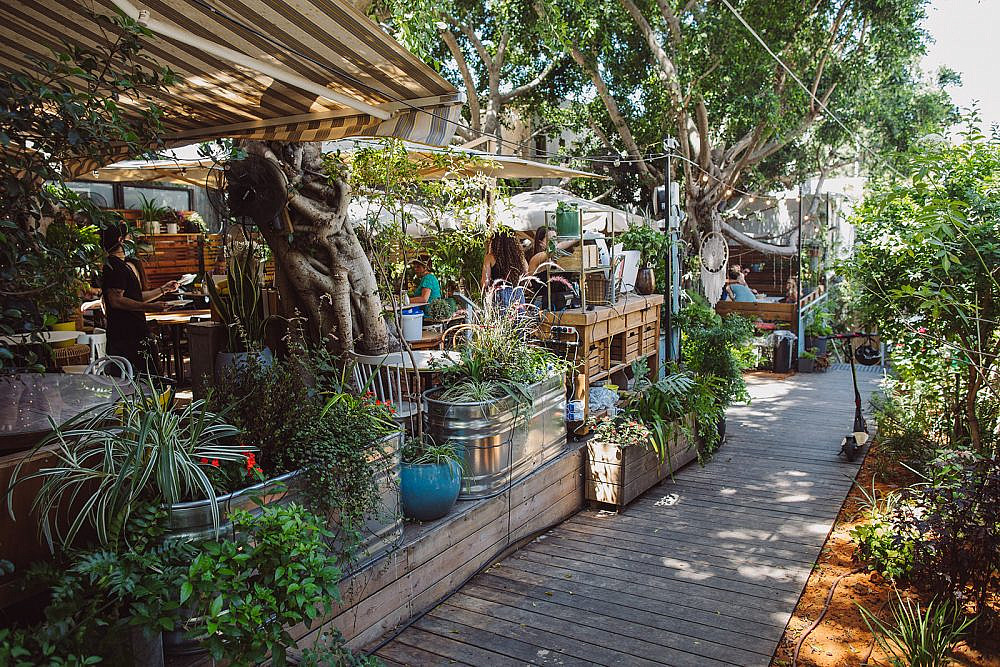 קפה ציונה | צילום: גיא חמוי