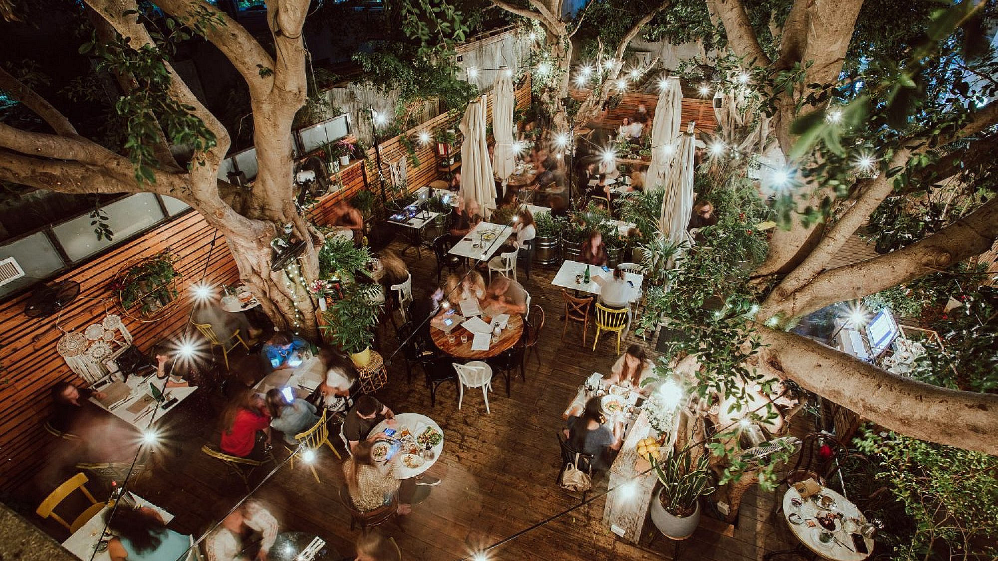 קפה ציונה | צילום: יח"צ