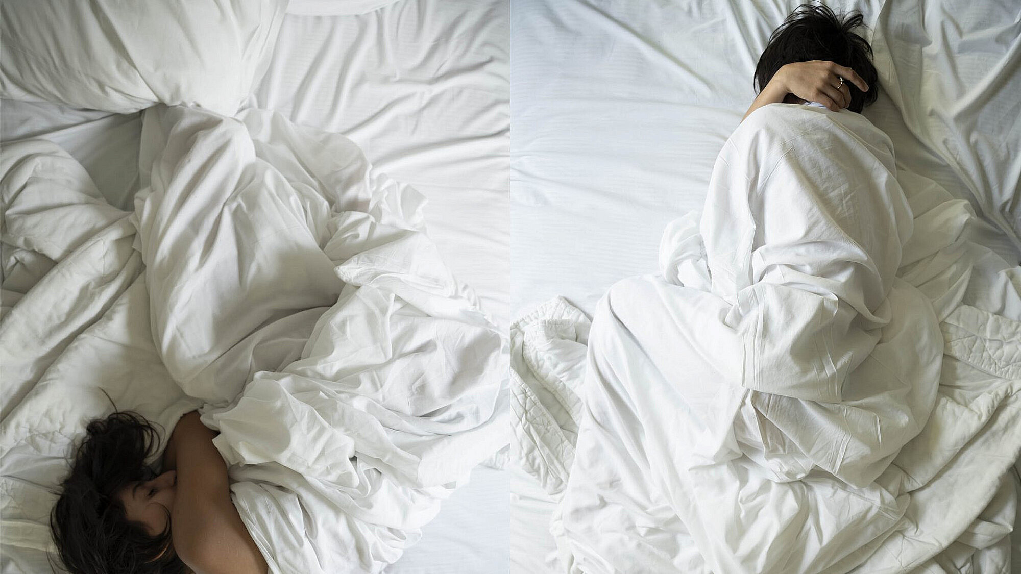 אפרת מזור, גלריה אלפרד