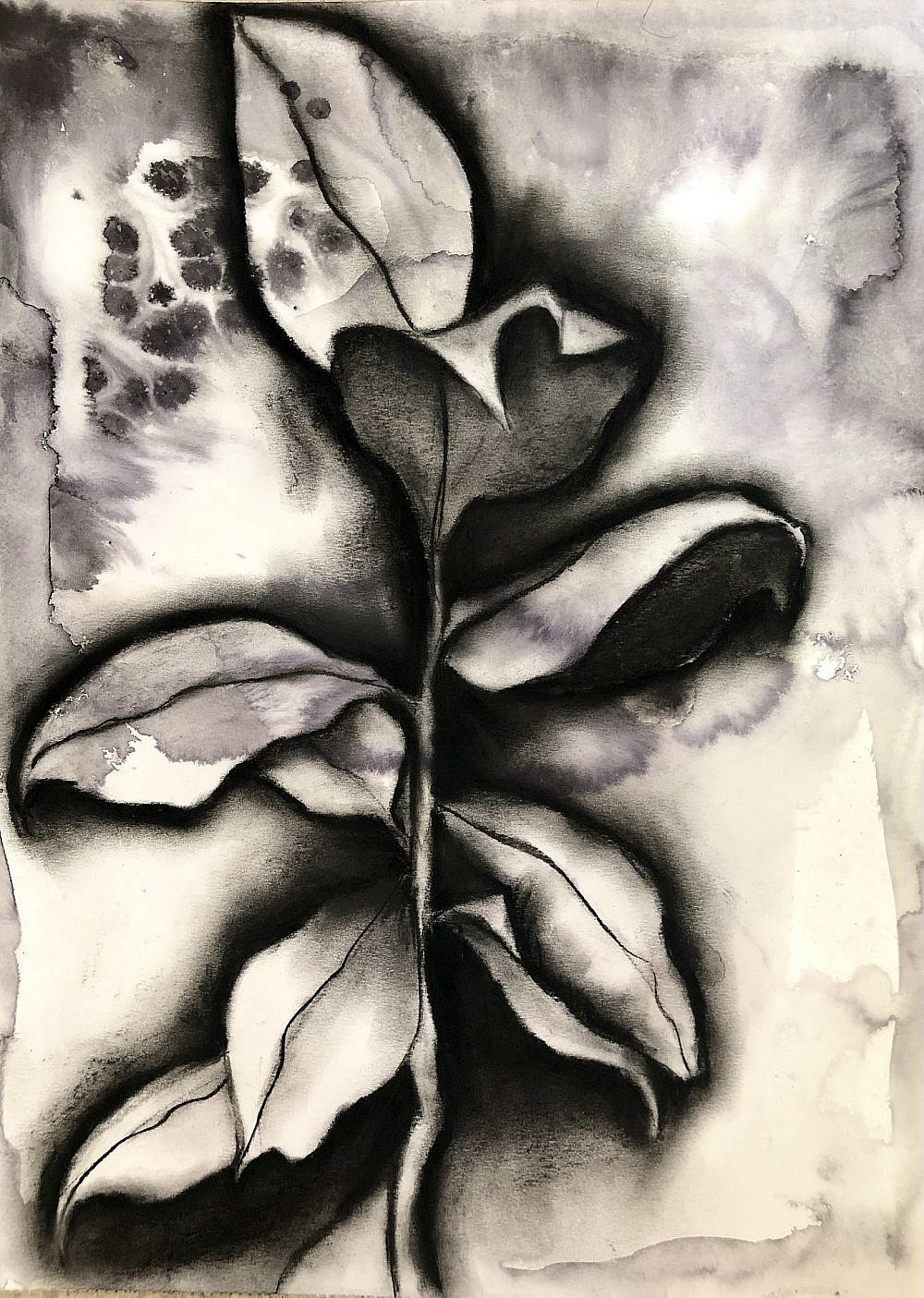 אורית אנגל, תערוכת יחיד אורית אנגל, תערוכת יחיד