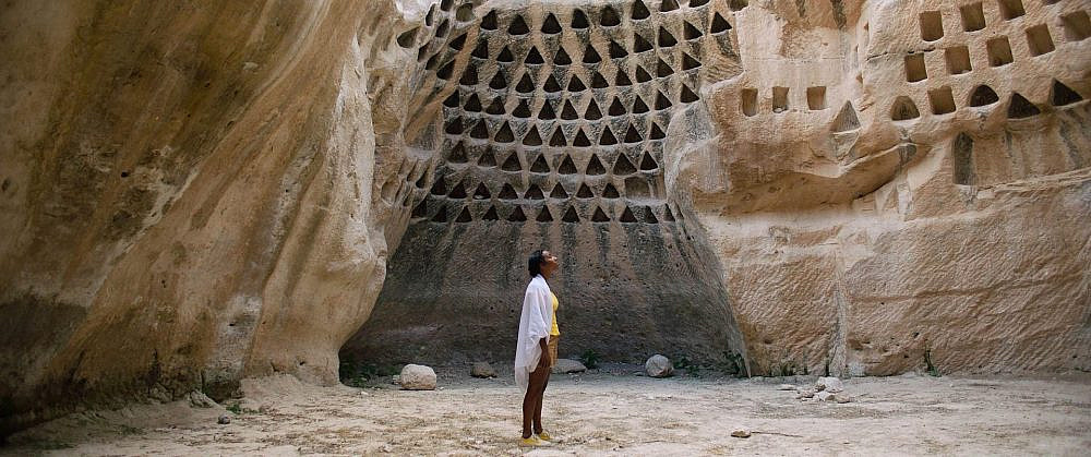 אמריקה | צילום: יח"צ