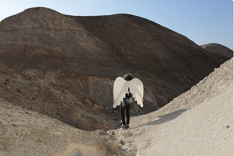 אנה גרינבנד, המרכז לאמנות עכשווית ערד