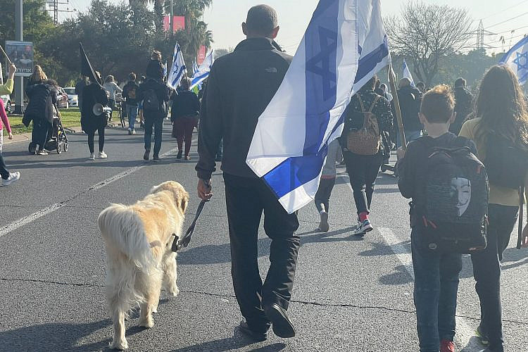 גם הכלבים כבר מיומנים בהפגנות (צילום: נתלי מון)