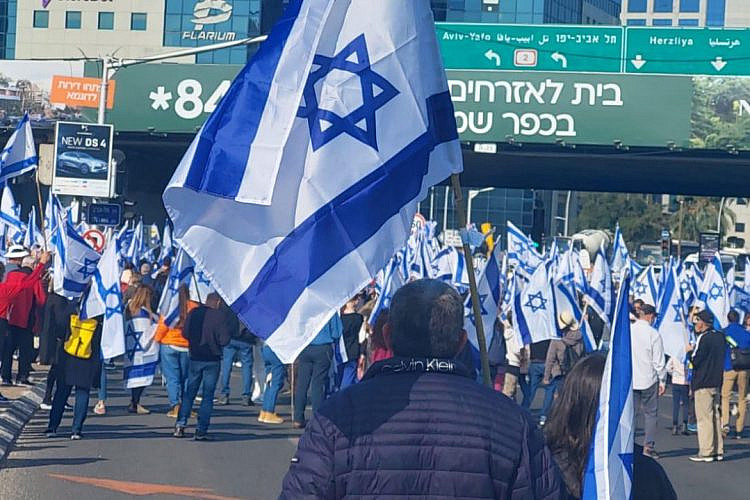שלל דגלי ישראל בצעדה (צילום: באדיבות מטה המאבק)
