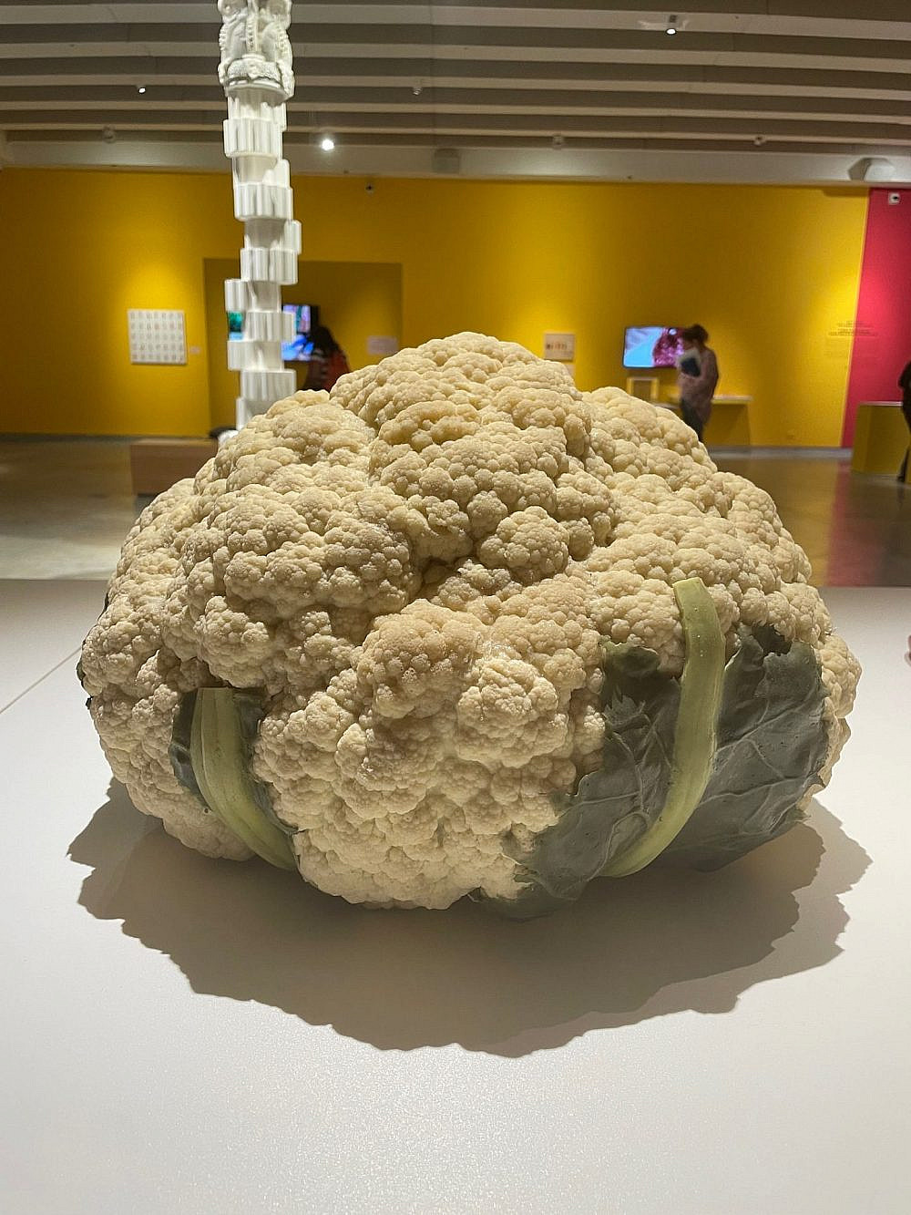לתשומת לב הקורא אייל שני. עבודה של מיכאל ספירר. תערוכת אוכל במוזיאון העיצוב חולון (צילום: רעות ברנע)