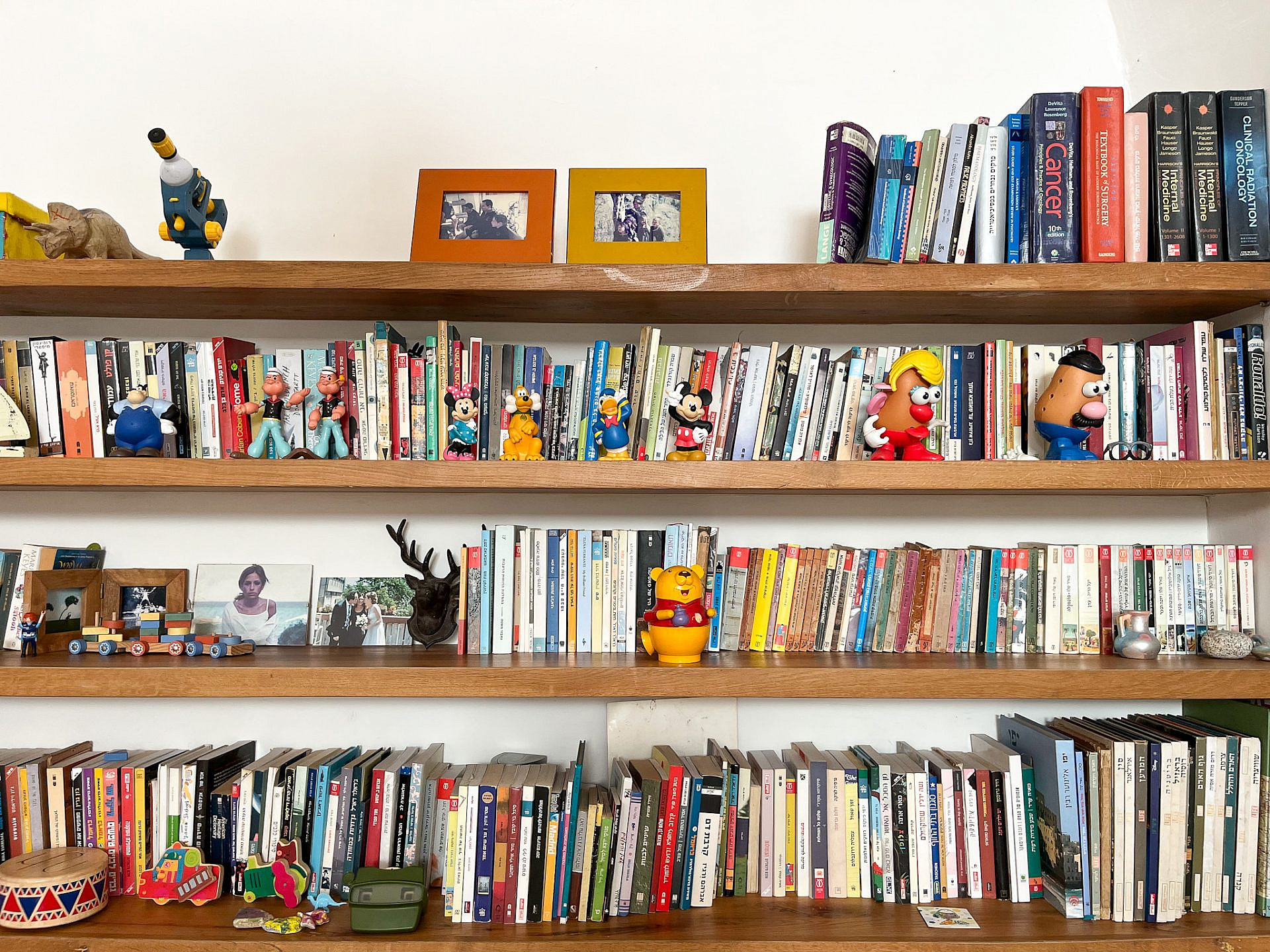 ספרים שאוהבים צעצועים ולהפך. הספריה (צילום: נועם רון)