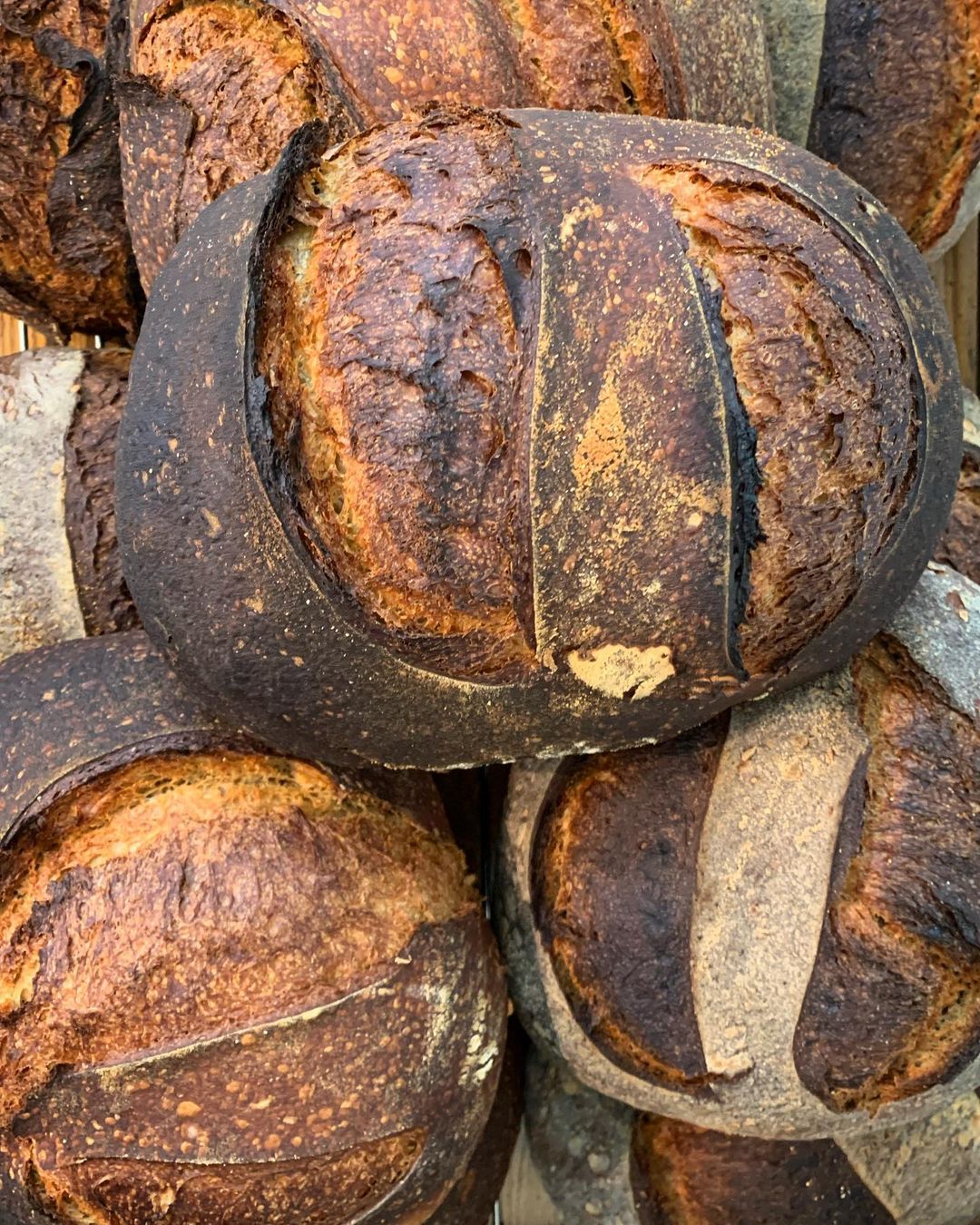 הלחם נראה נהדר, אבל הוא פשוט לחם. פרא (צילום: מתוך עמוד האיסטגרם @Pereh_rest)