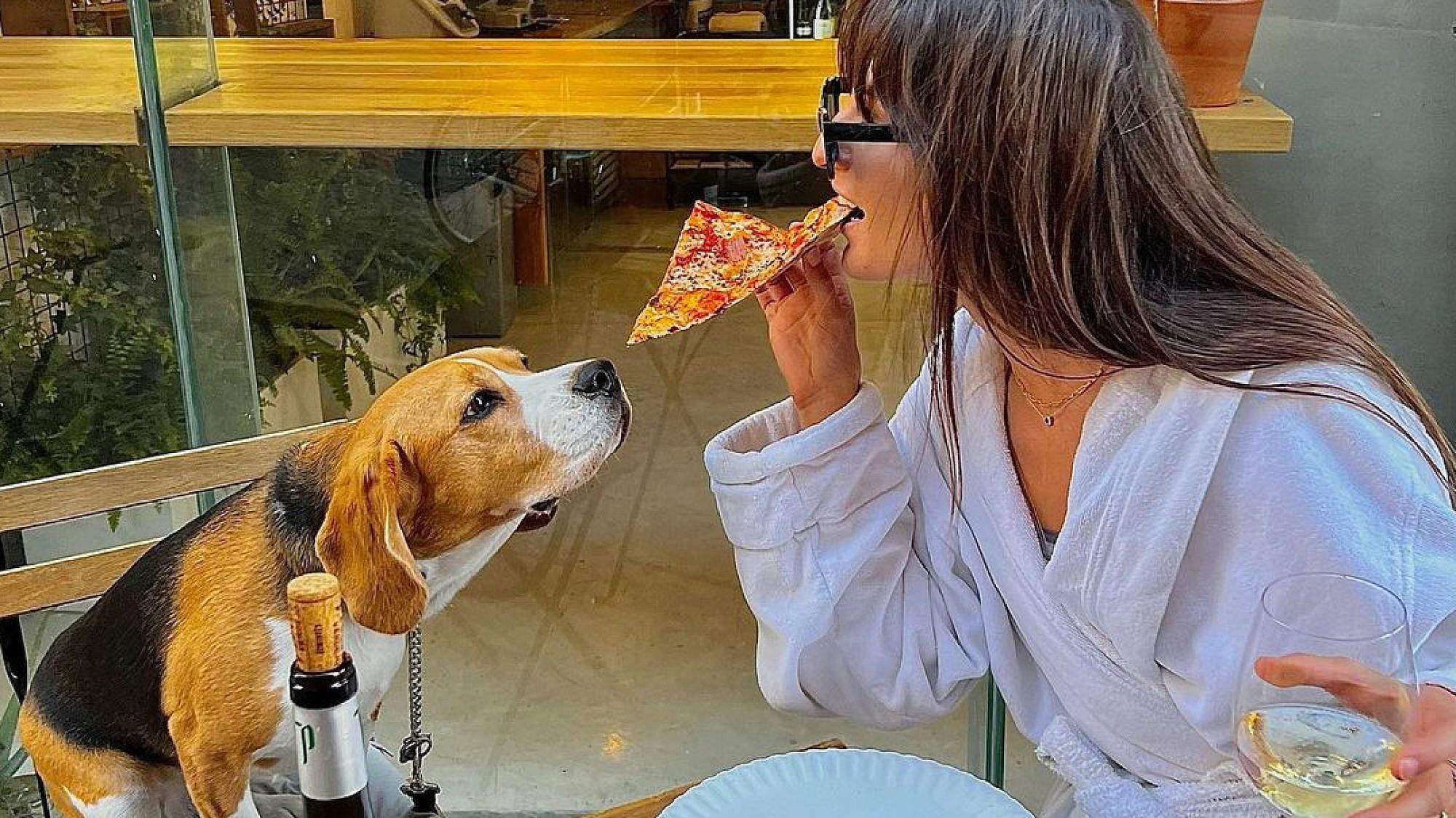 כלב מי שלא אוהב אותך. פיצה פונטו. צילום: מתוך עמוד האינסטגרם punto.pizzatlv