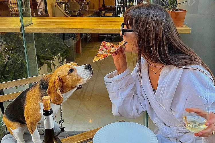 כלב מי שלא אוהב אותך. פיצה פונטו. צילום: מתוך עמוד האינסטגרם punto.pizzatlv