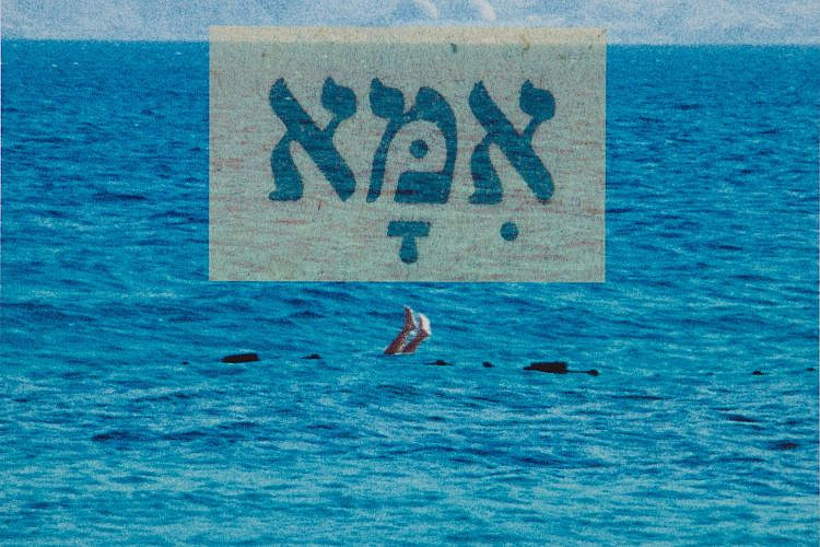 דגנית ברסט, מוזיאון תל אביב